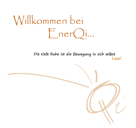 Willkommen bei EnerQi